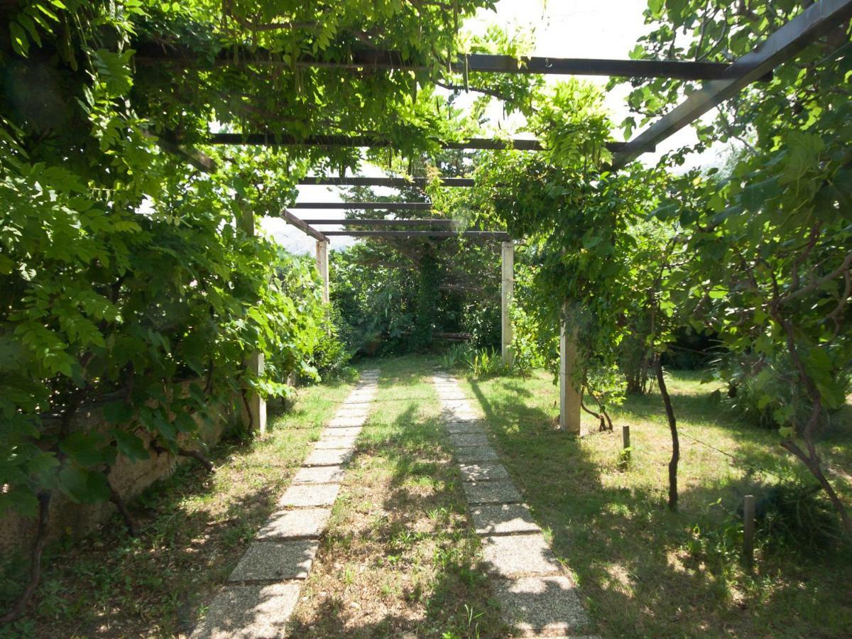 Sea Dream Kuca Za Odmor Appartement Baška Buitenkant foto